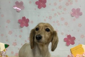 4月のお友達☆