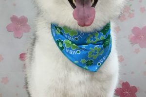4月のお友達☆