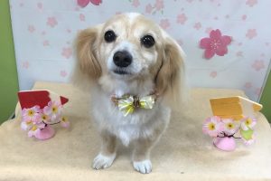 4月のお友達☆