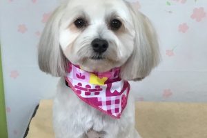 4月のお友達☆