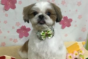 4月のお友達☆