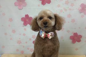 4月のお友達☆