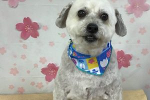 4月のお友達☆