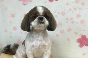 4月のお友達☆