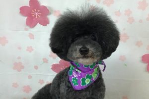 4月のお友達☆