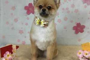 4月のお友達☆