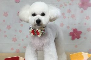 4月のお友達☆