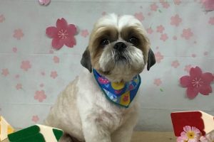 4月のお友達☆