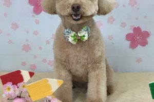 4月のお友達☆