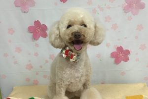 4月のお友達☆