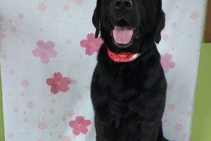 4月のお友達☆