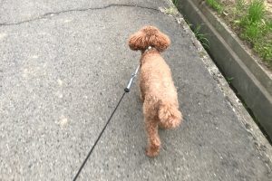 お泊り☆