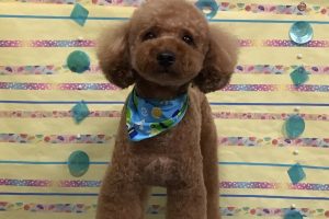 6月のお友達☆