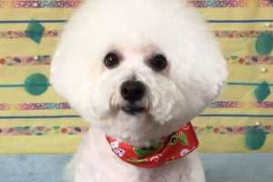 6月のお友達☆