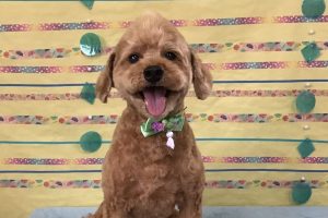 6月のお友達☆