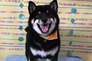 6月のお友達☆