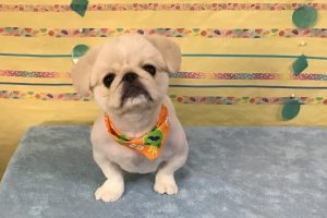 6月のお友達☆