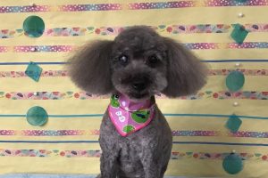 6月のお友達☆