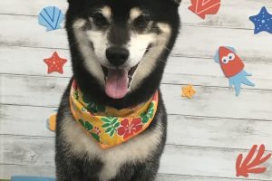 8月のお友達☆