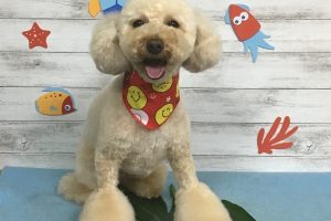 8月のお友達☆