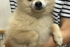 お泊り☆