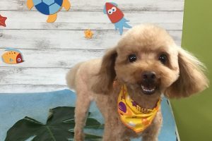 8月のお友達☆