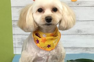 8月のお友達☆