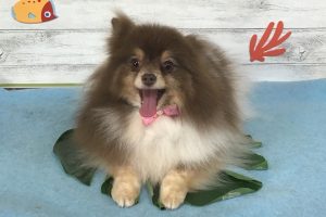 8月のお友達☆