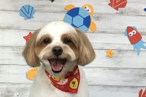8月のお友達☆
