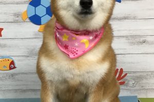 8月のお友達☆