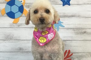 8月のお友達☆