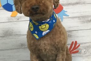8月のお友達☆