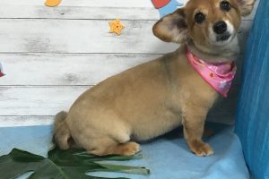 8月のお友達☆