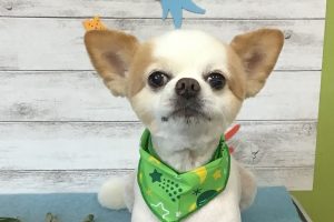 8月のお友達☆