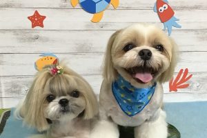 8月のお友達☆