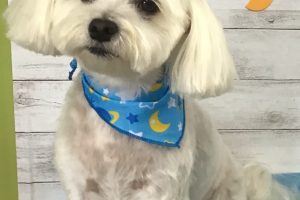8月のお友達☆