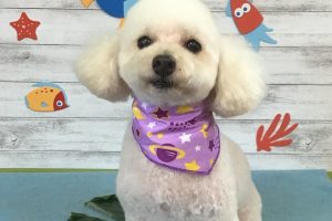 8月のお友達☆