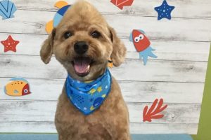 8月のお友達☆