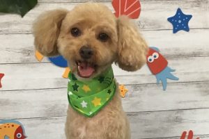 8月のお友達☆