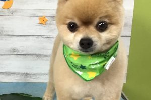 8月のお友達☆