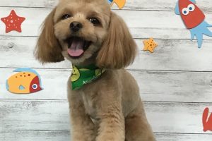 8月のお友達☆
