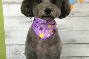 8月のお友達☆