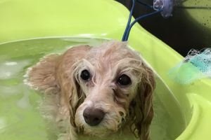 8月のお友達☆