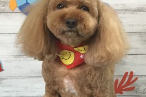 8月のお友達☆