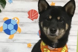 8月のお友達☆