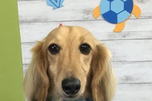 8月のお友達☆