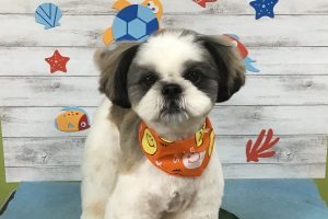 8月のお友達☆