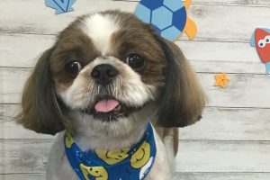 8月のお友達☆