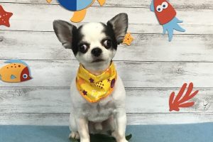 8月のお友達☆