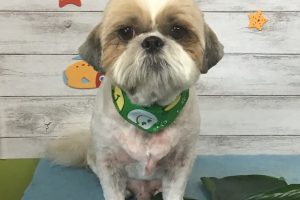 8月のお友達☆